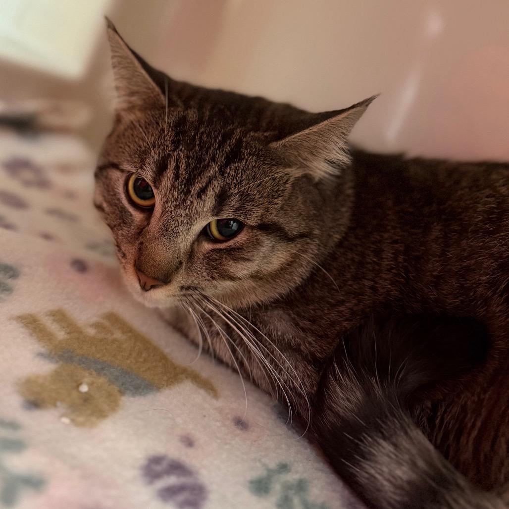 George — thumbnail 2