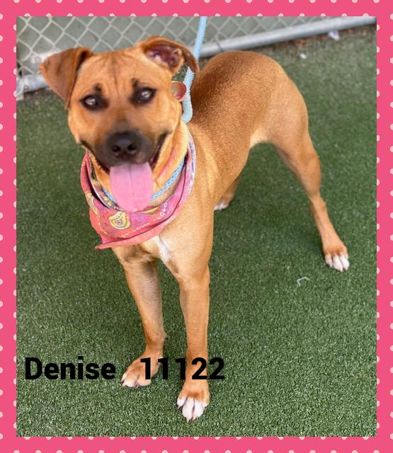 DENISE