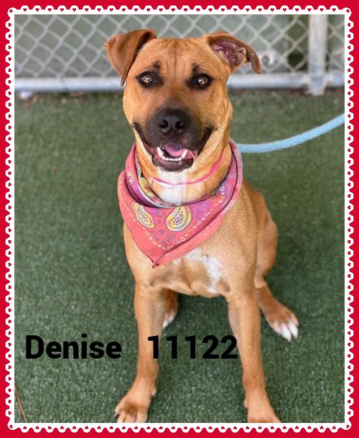 DENISE
