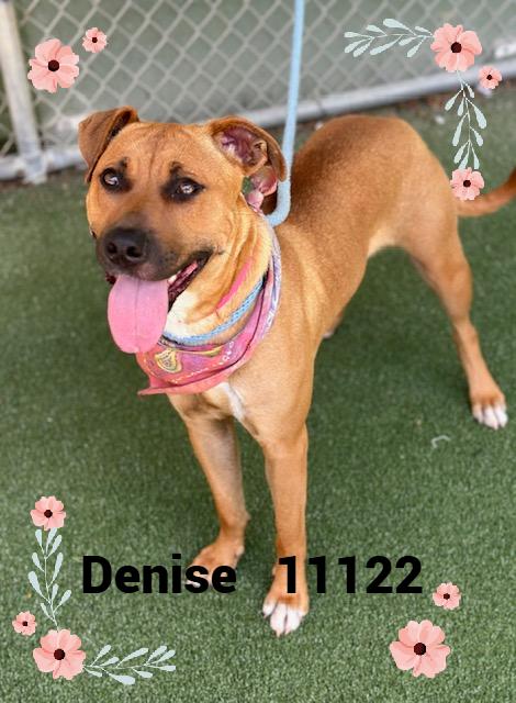 DENISE