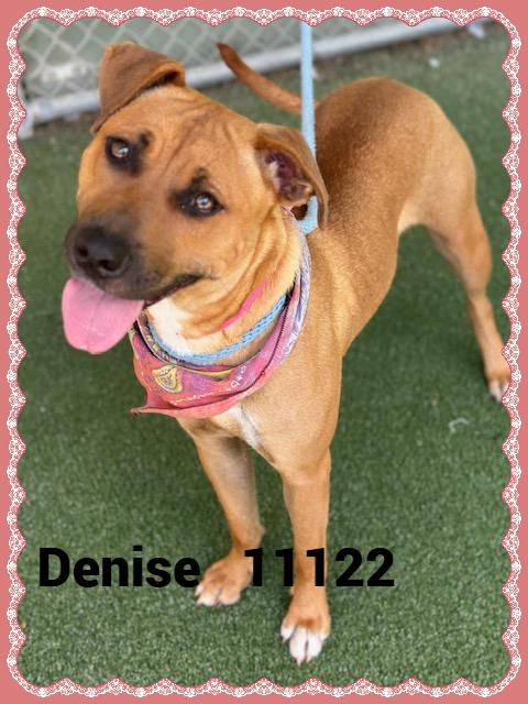 DENISE