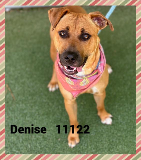 DENISE