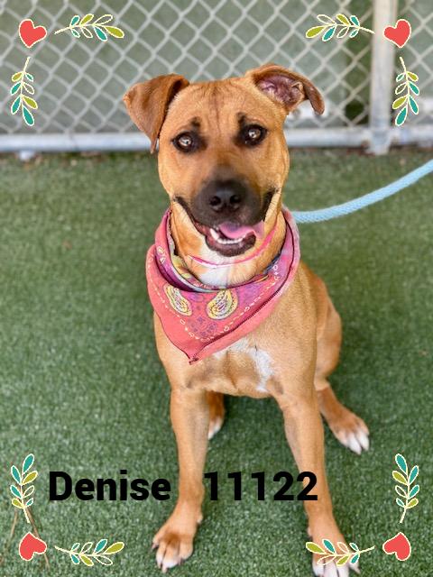 DENISE