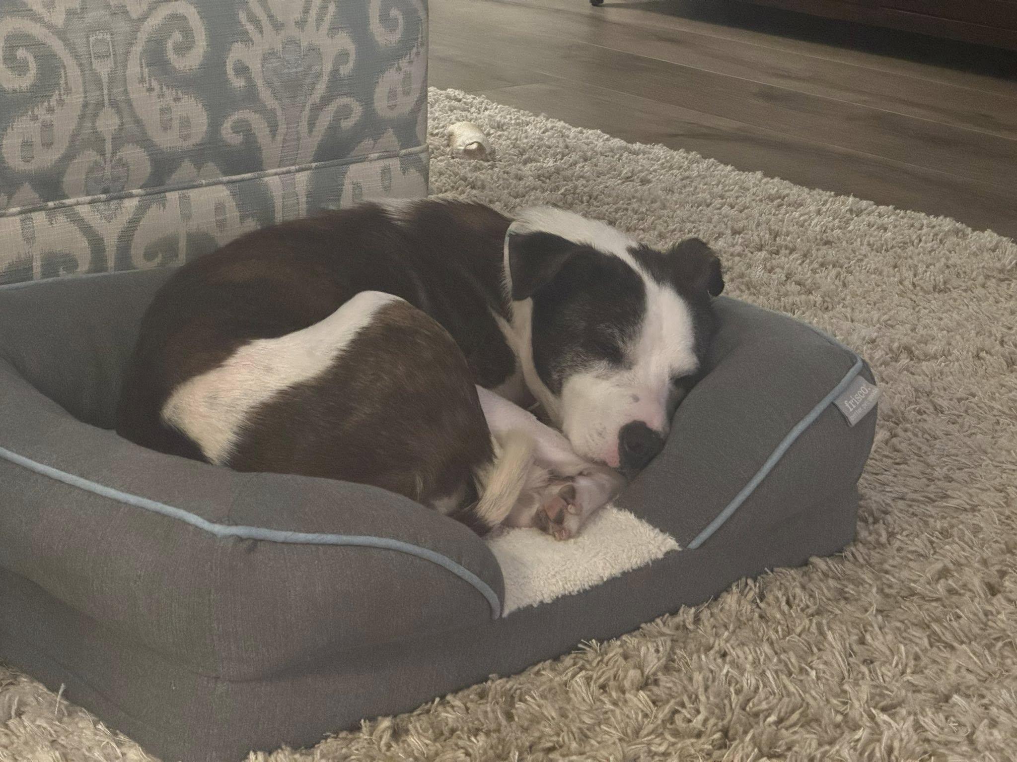 Sallie