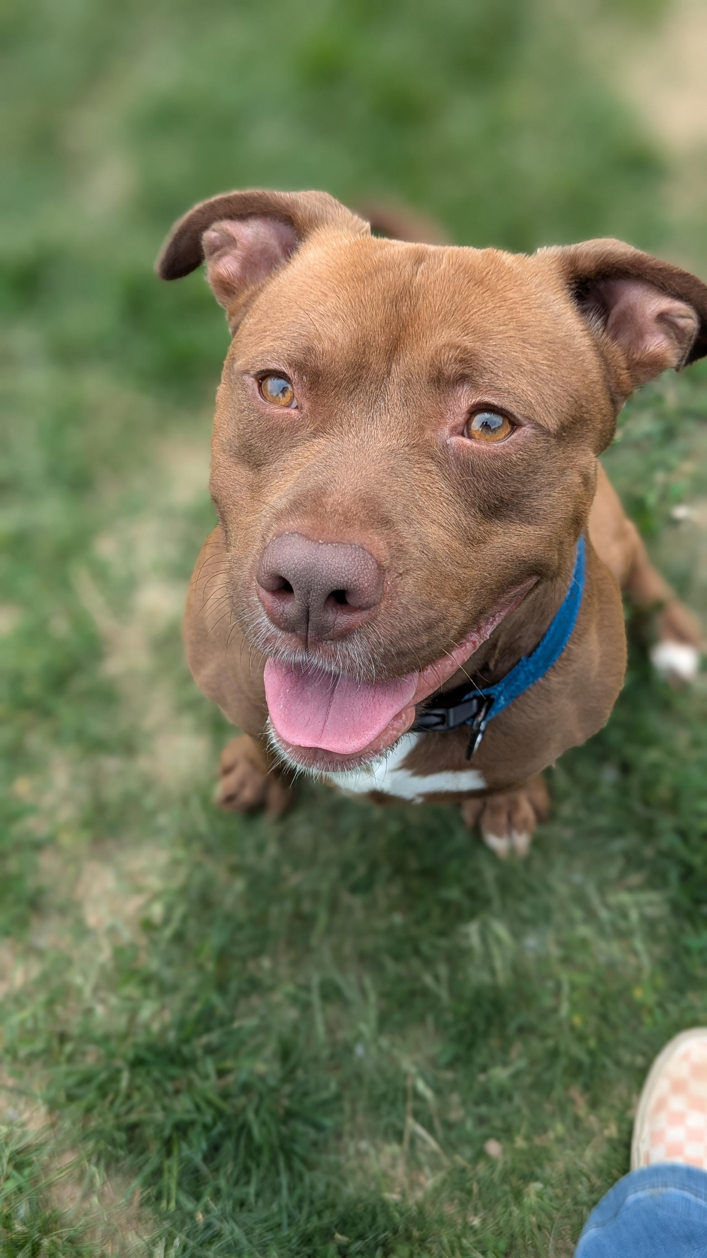 Mack, Adult Male unknown