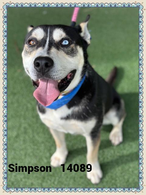 SIMPSON(also see COSMO)