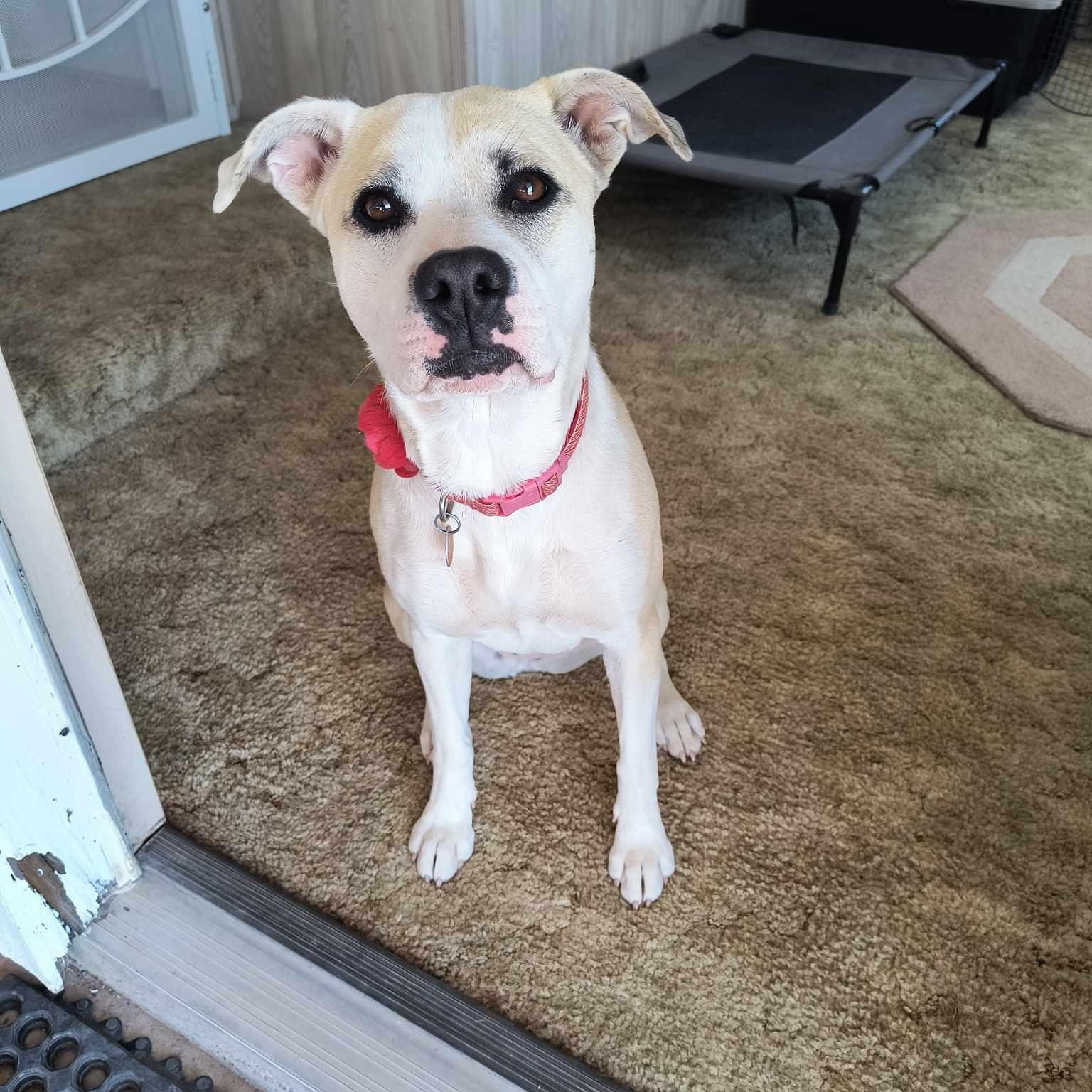 Ella