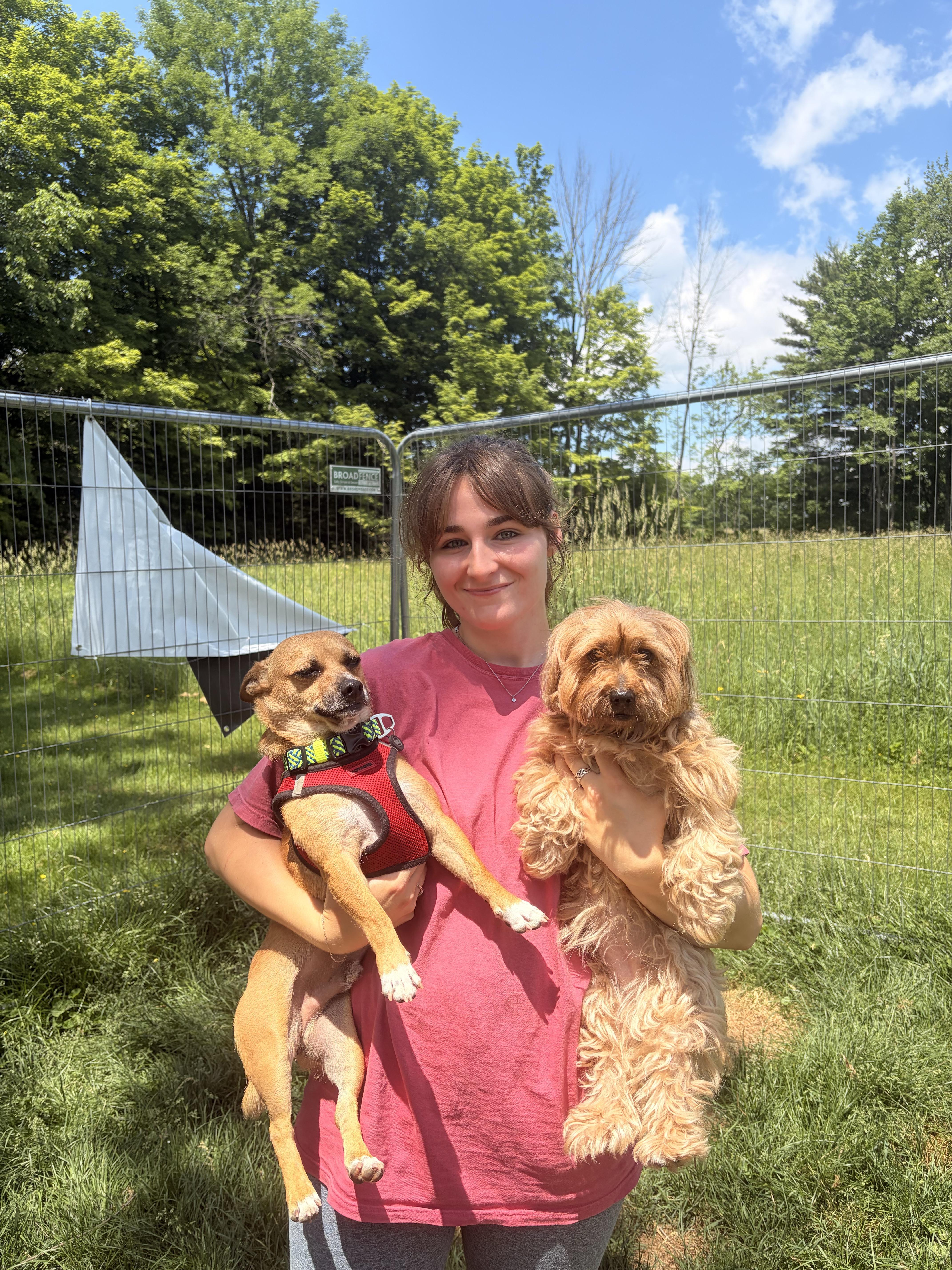 Princess, a ADOPTABLE mixed breed in New Boston, NH image 2/6