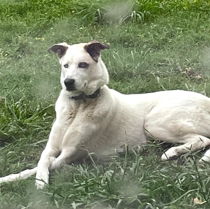 Journey — thumbnail 4