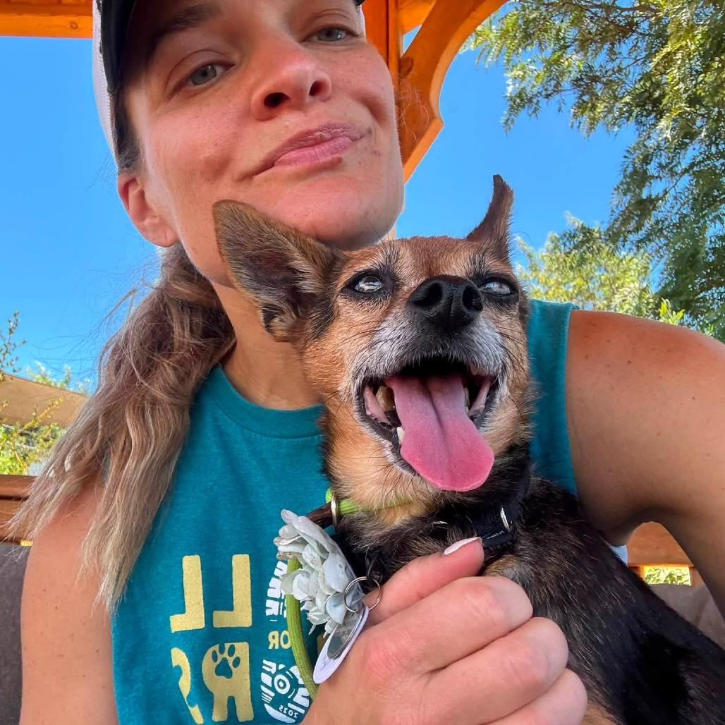 Enlarge Betsy Ross, a Adoptable Chihuahua in Ramona, CA image 3/5