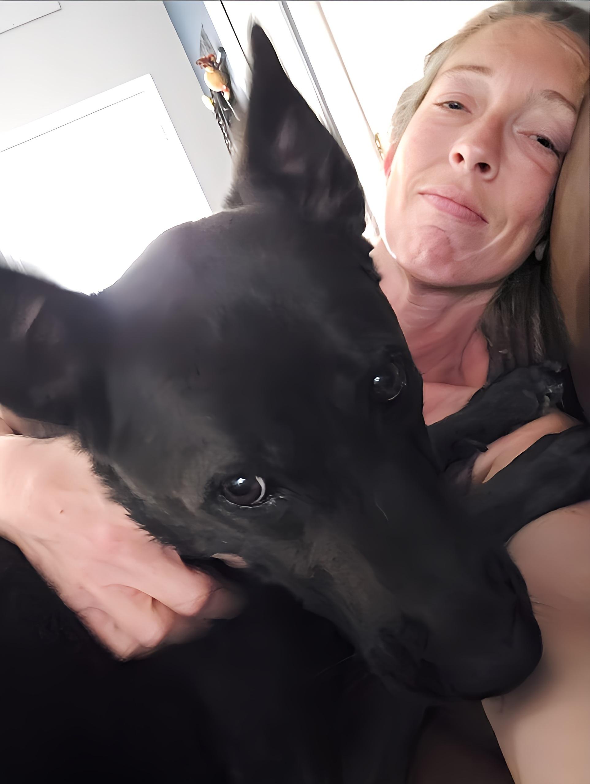 Dot, a Adoptable mixed breed in Houston, TX image 4/6