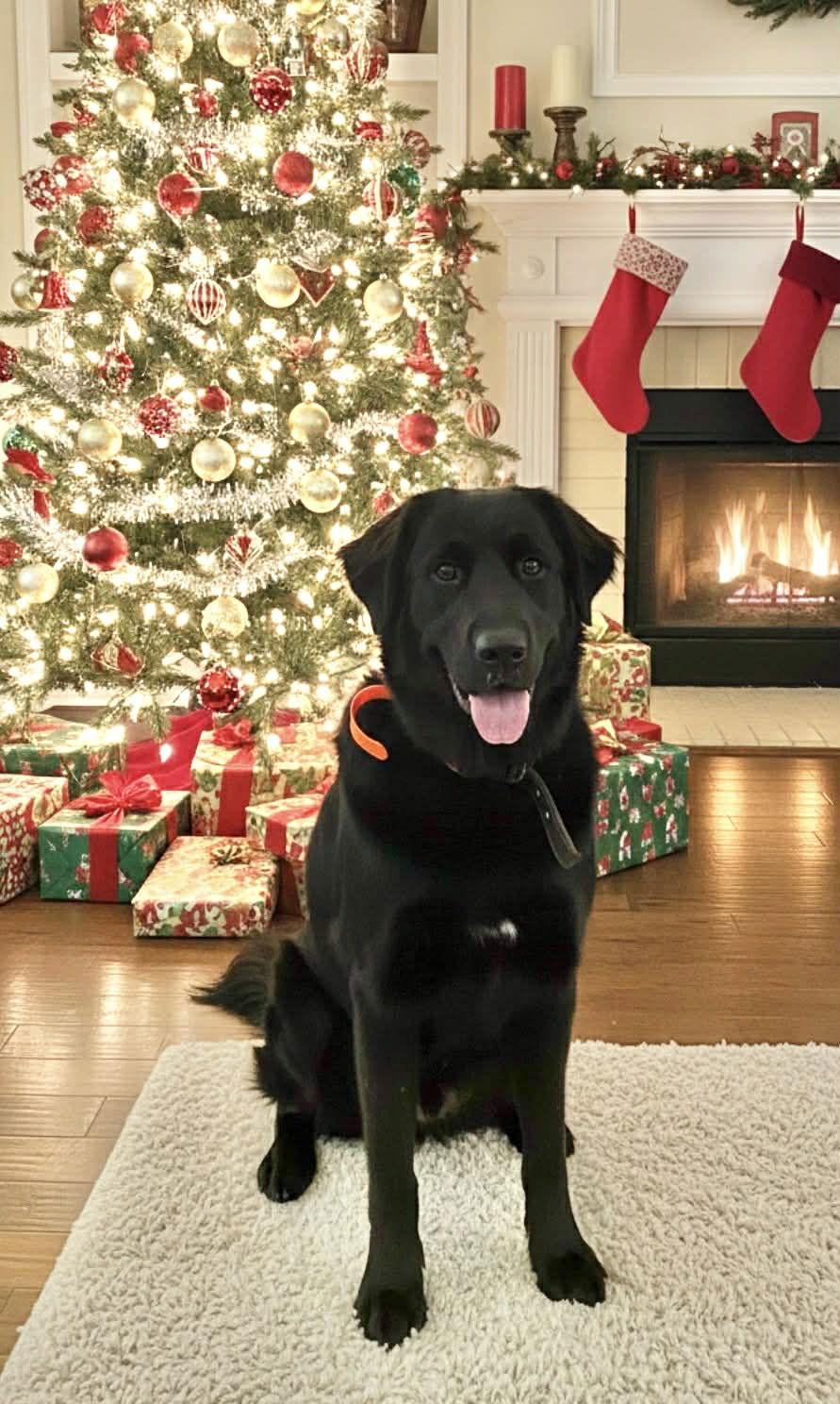 Bryne Eg In Ms thumbnail 2