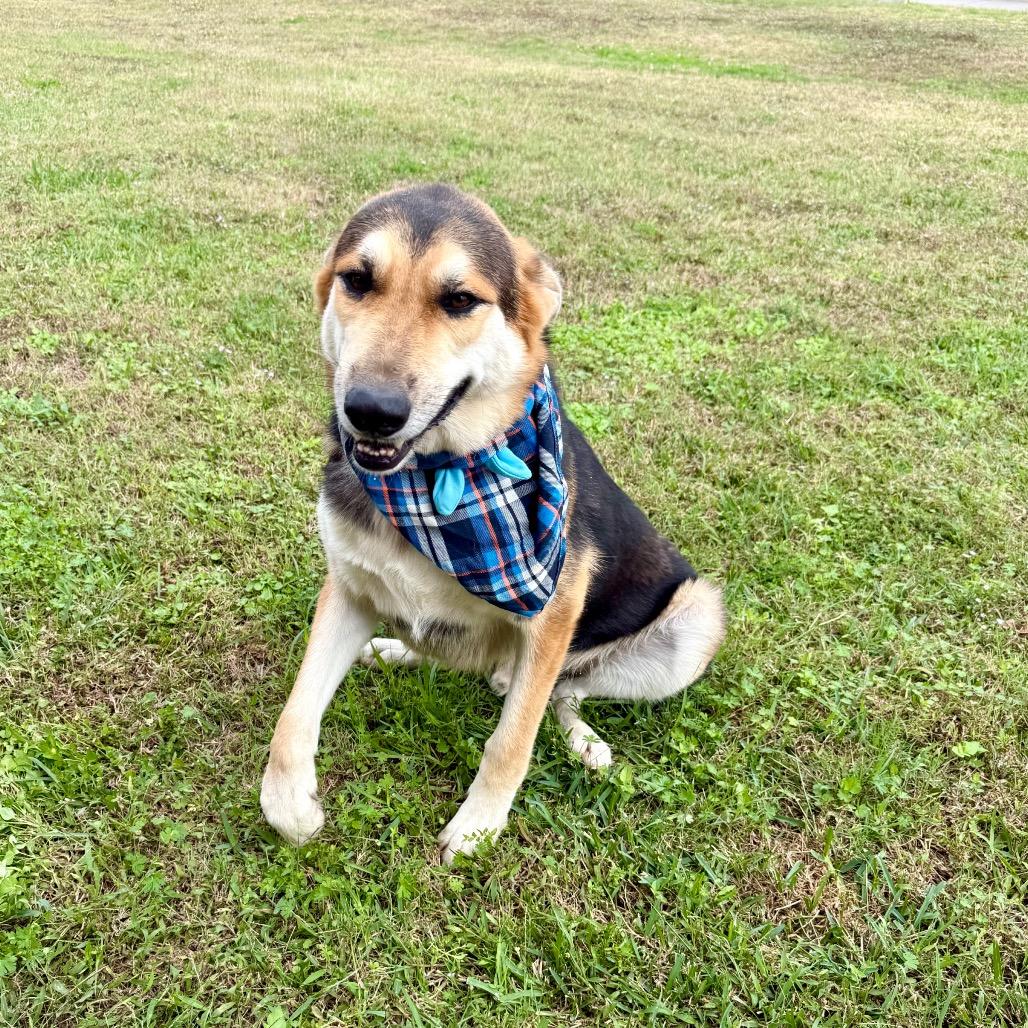 Beryl — thumbnail 4