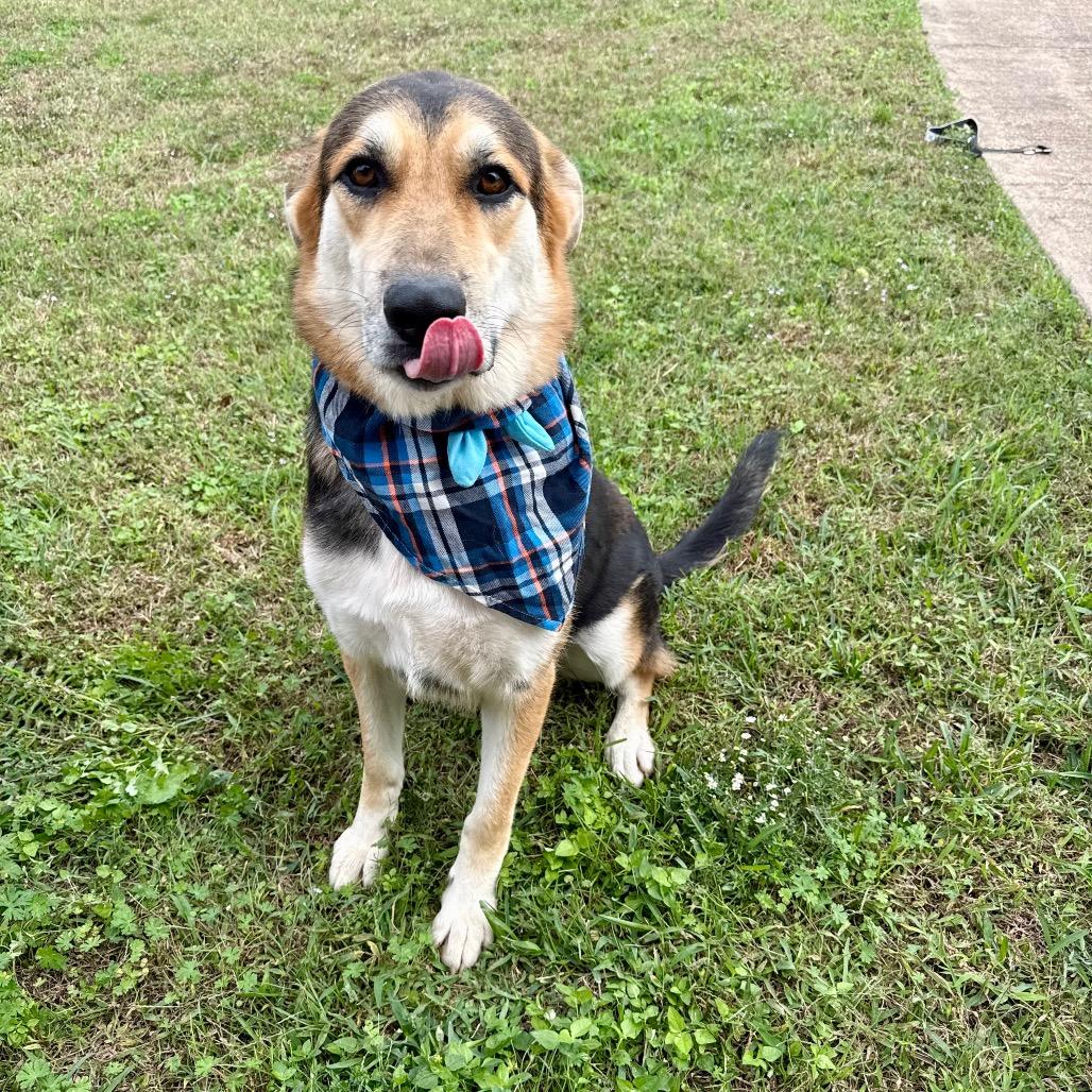 Beryl — thumbnail 6