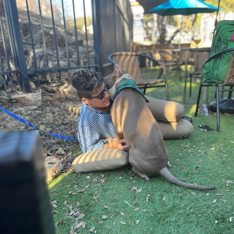 Homelander, a Adopted mixed breed in Austin, TX image 2/12