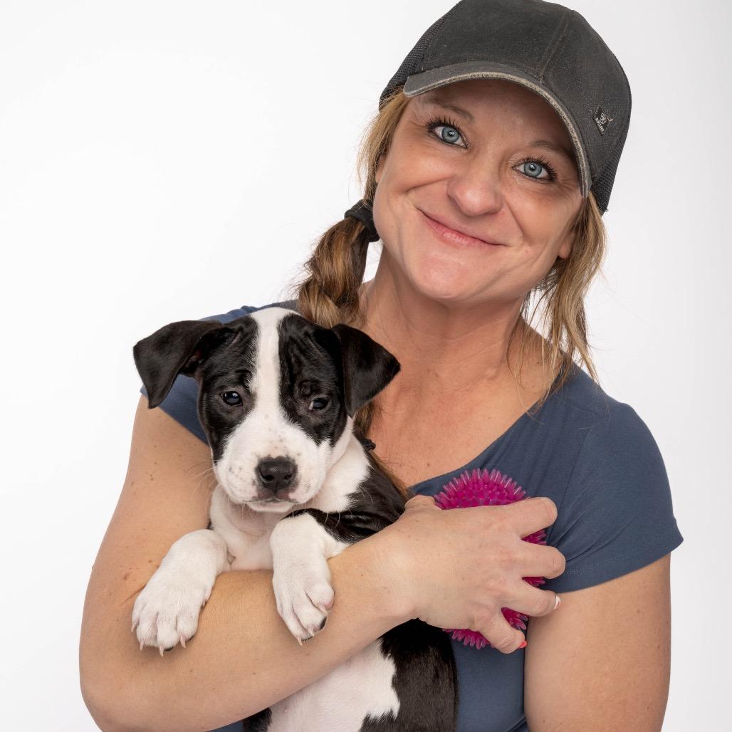 Enlarge Brie, a Adoptable mixed breed in Spanish Fork, UT image 1/6