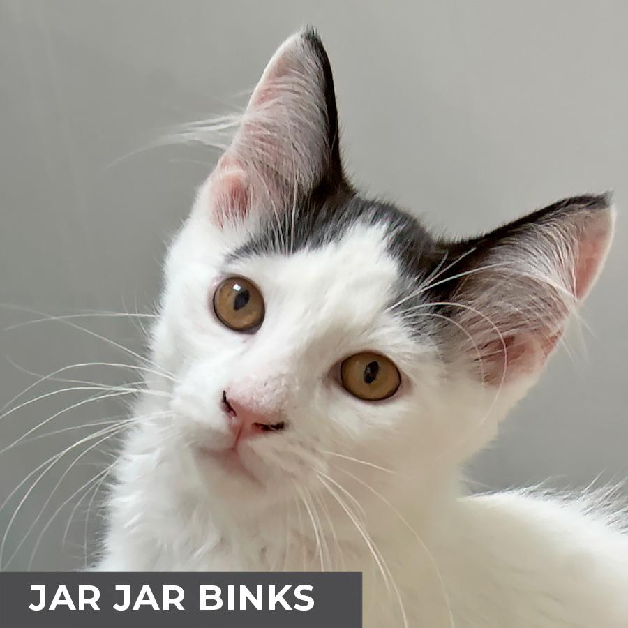 Jar Jar Binks