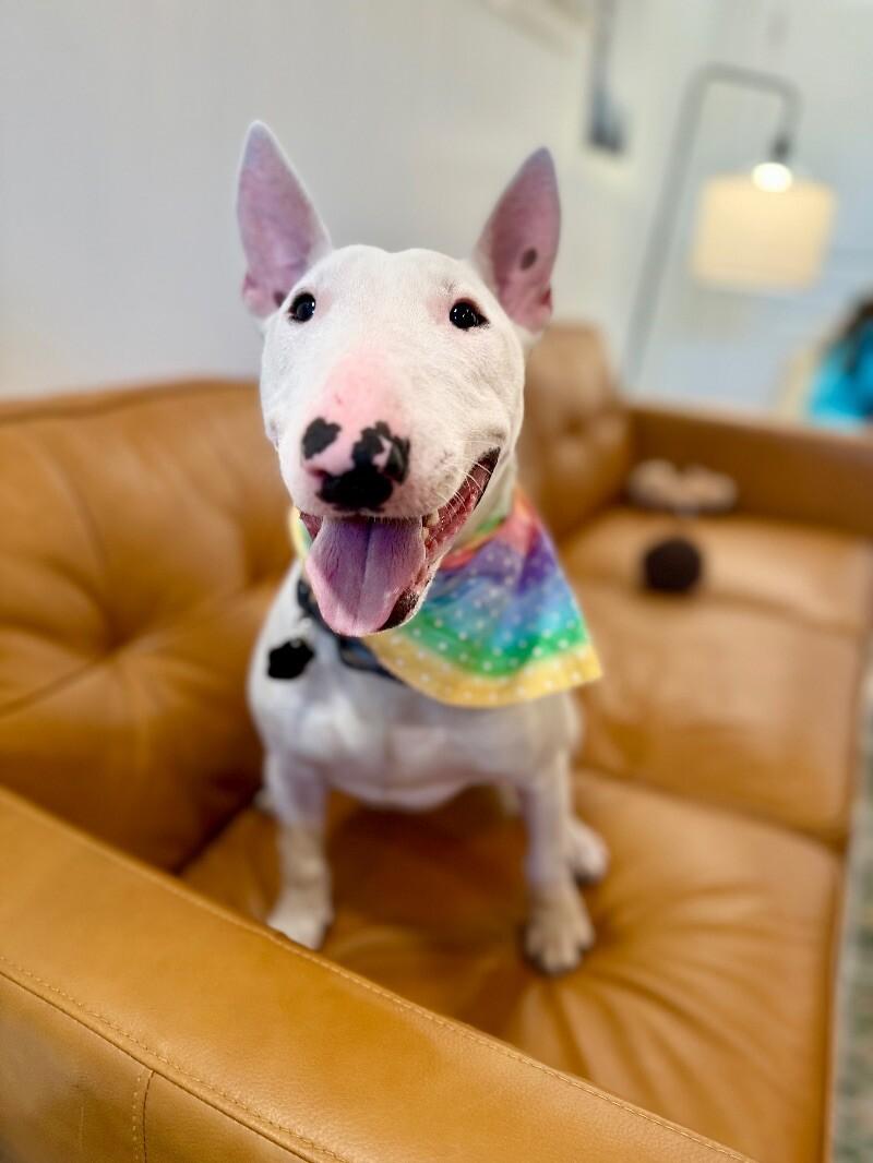 Naomi fun-size perfection