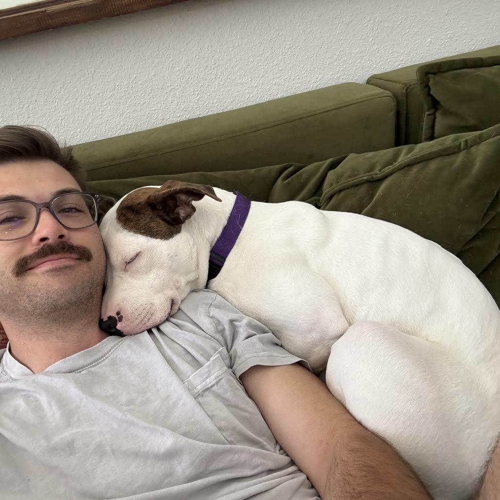 Enlarge Clyde, a Adoptable Pit Bull Terrier in Dallas, TX image 5/6