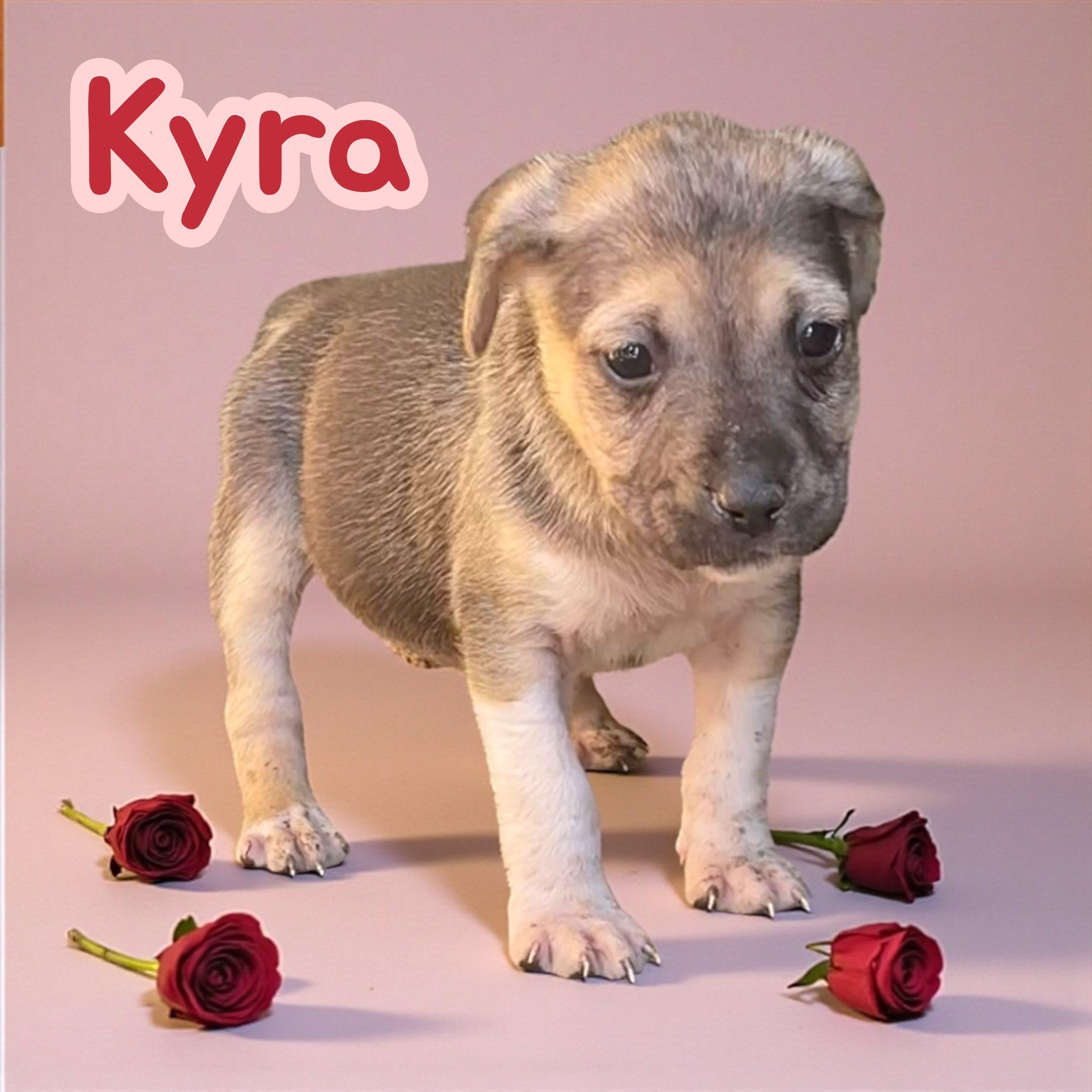 Kyra thumbnail 2