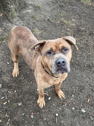 Easten — thumbnail 2