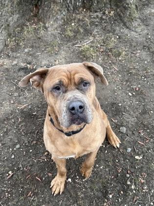 Easten — thumbnail 3