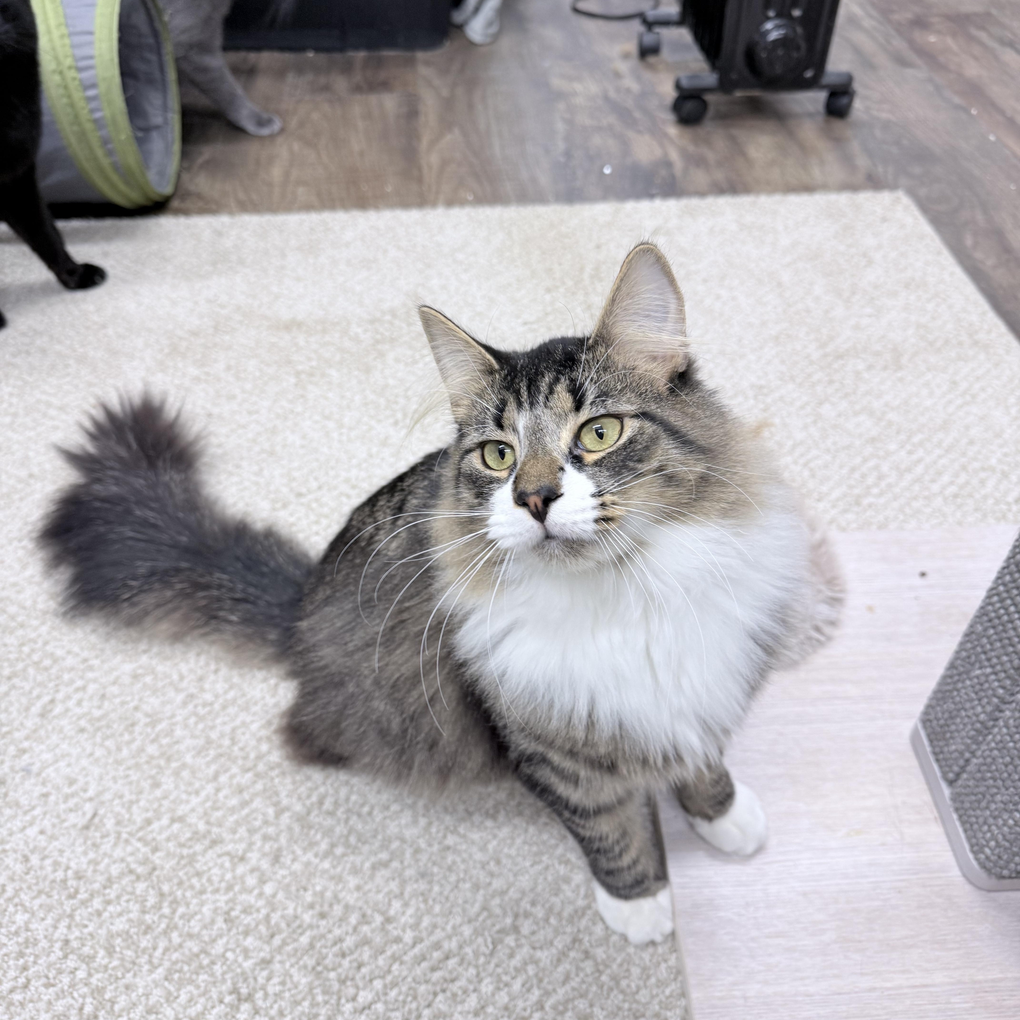 Wednesday thumbnail 2