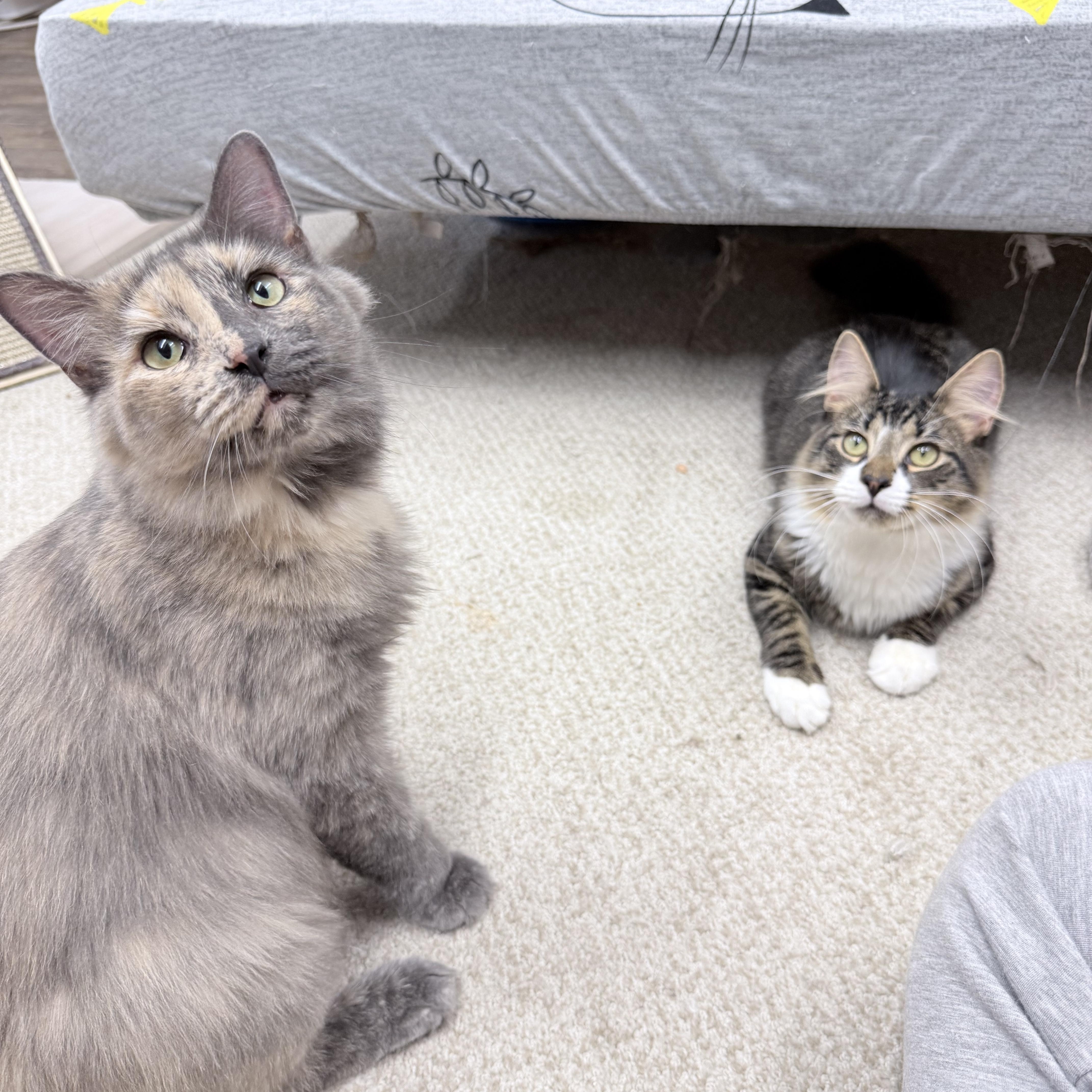 Wednesday thumbnail 3