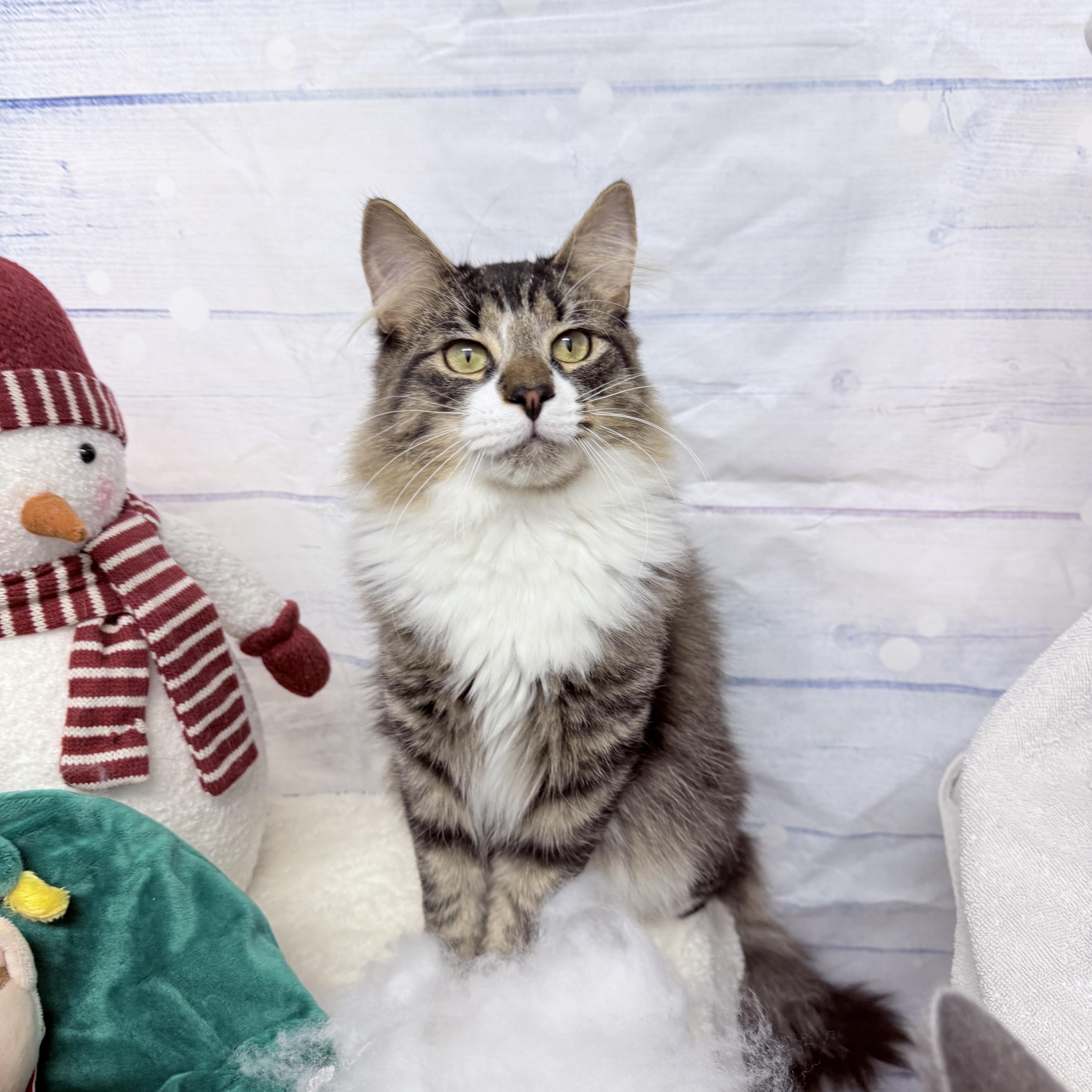 Wednesday thumbnail 5