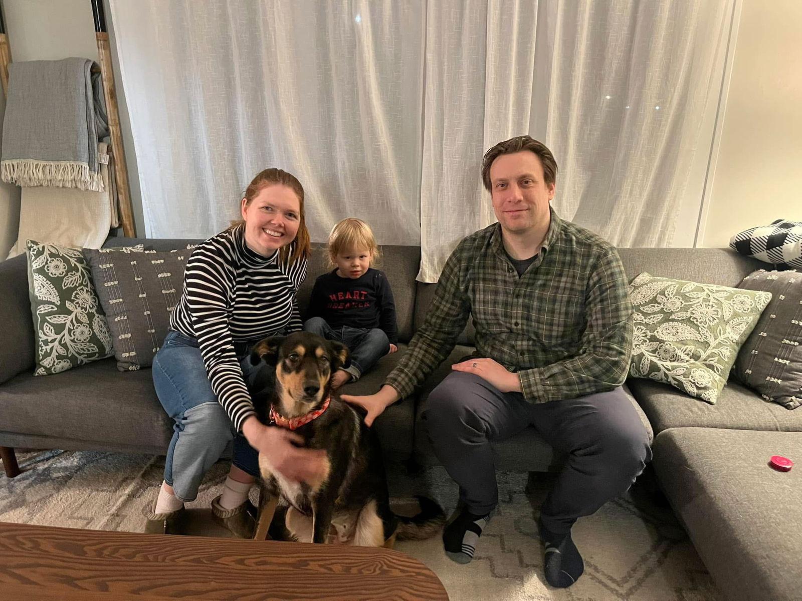 Posey, Adopted, Adult Female Shepherd & Australian Shepherd.