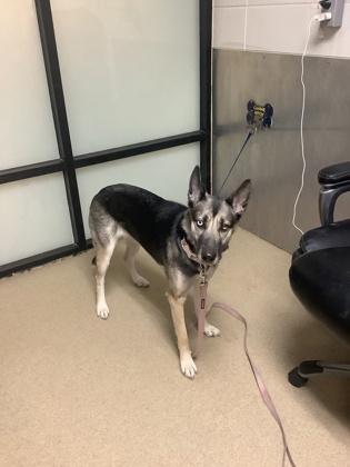 Becky — thumbnail 2