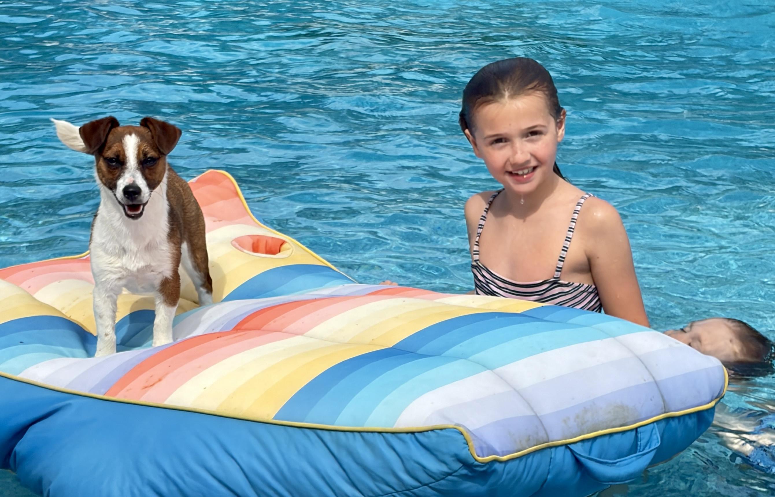 Lucy, a ADOPTABLE mixed breed in Perrysburg, OH image 5/5