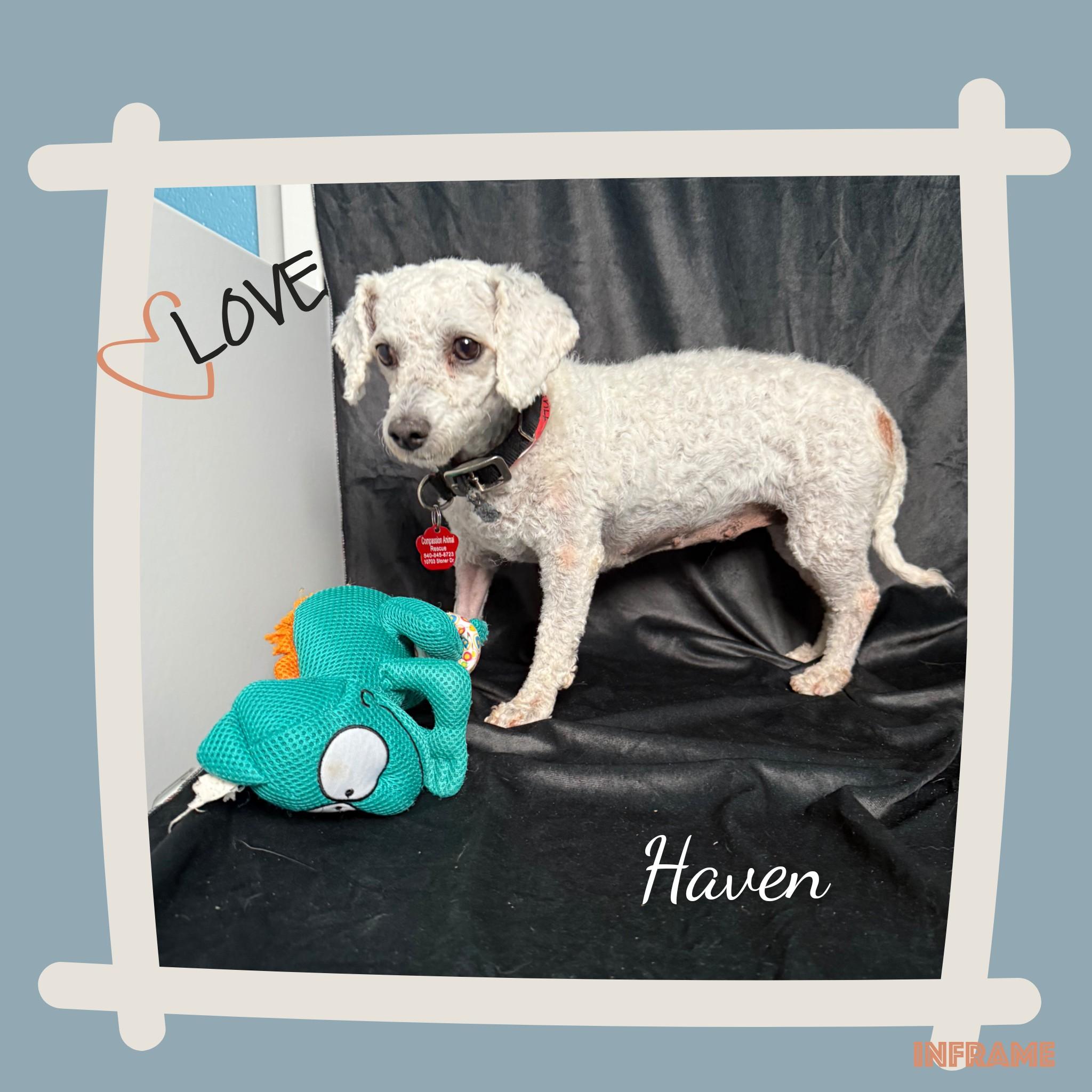 Haven