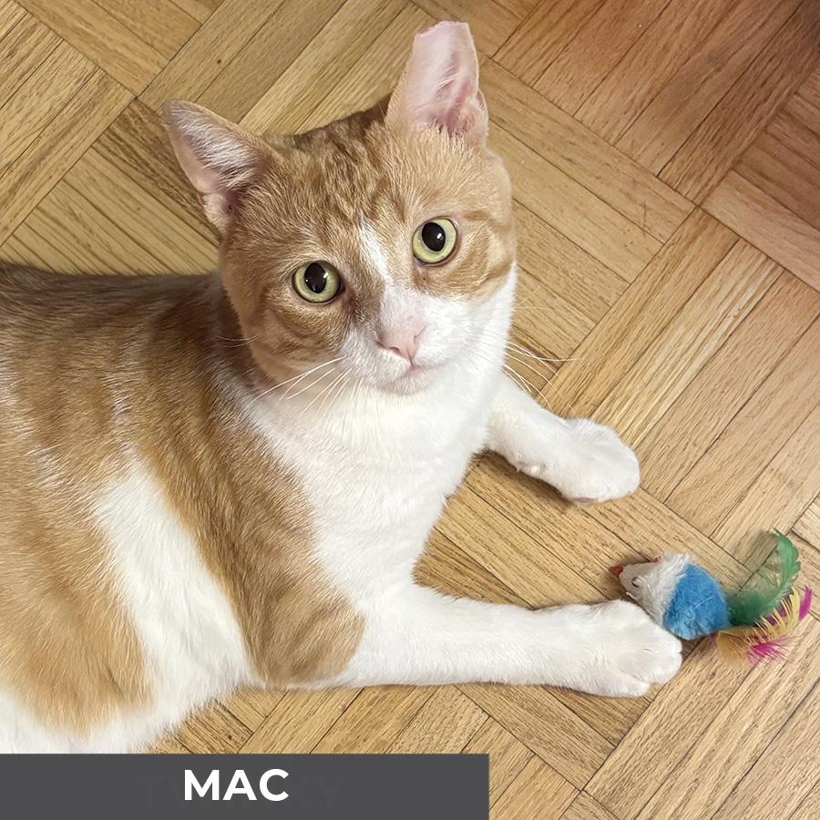Mac