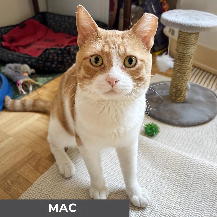 Mac