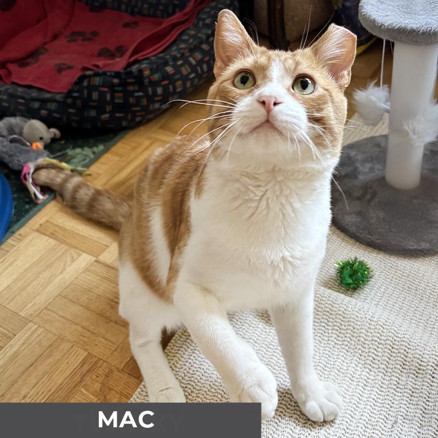 Mac