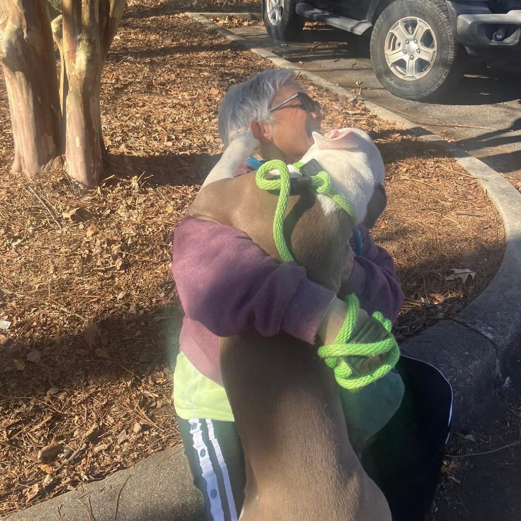 Enlarge Gerald, a Adoptable Mixed Breed in Binghamton, NY image 6/6