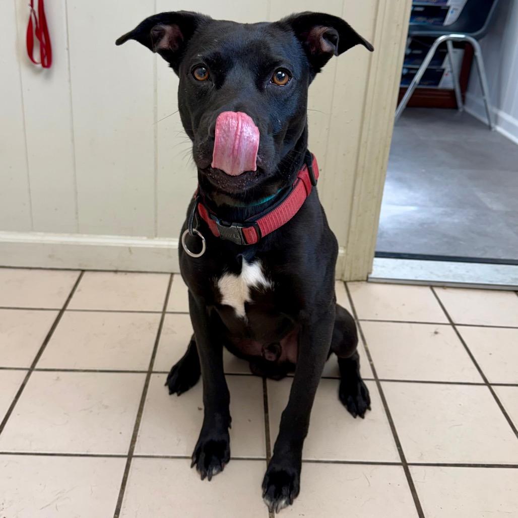 Jordy — thumbnail 2