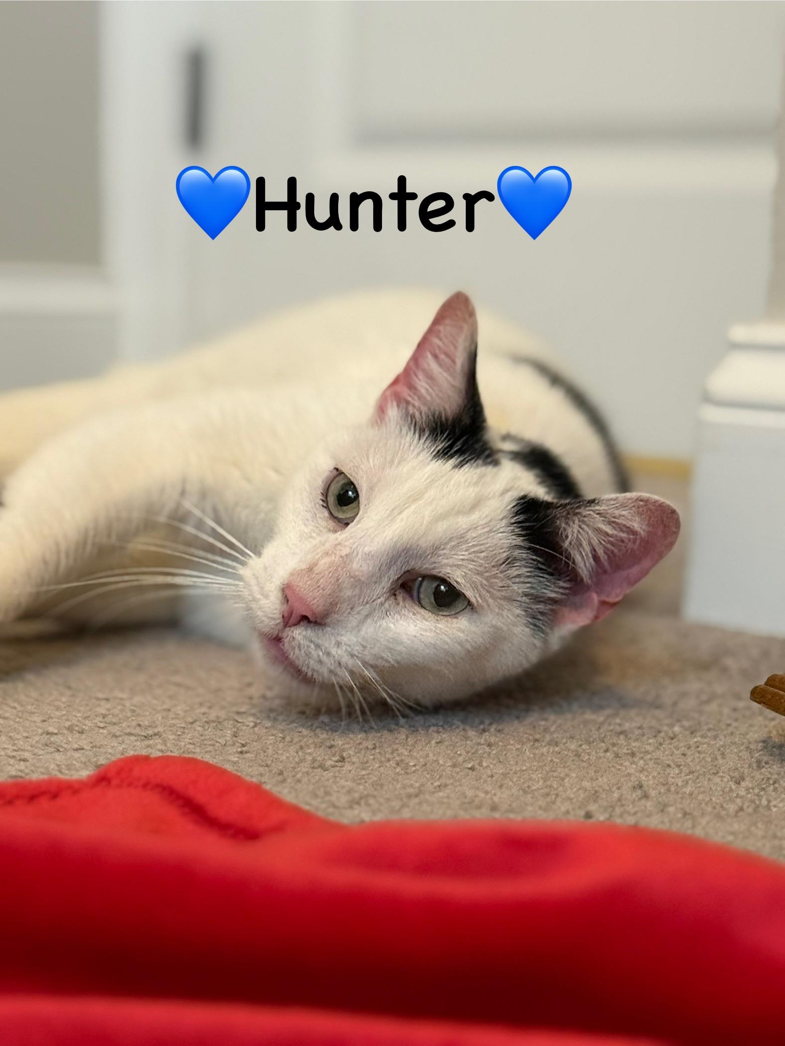 Hunter photo 1