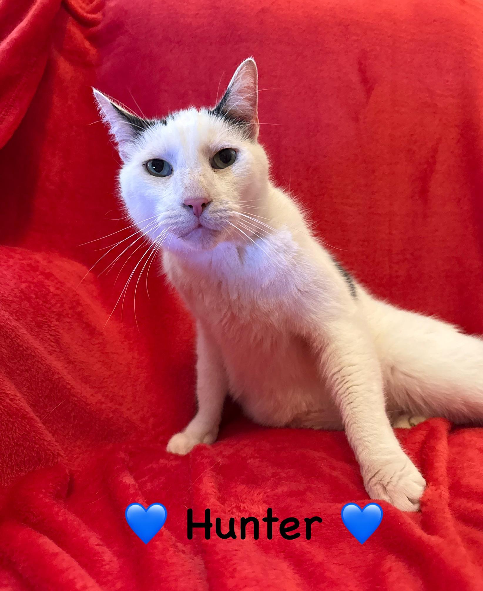 Hunter thumbnail 3