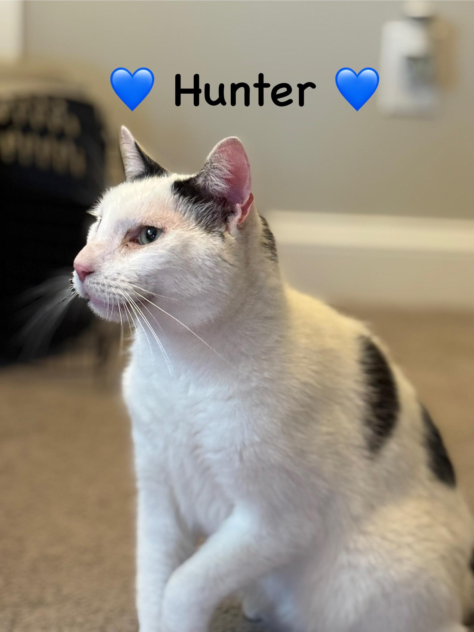 Hunter thumbnail 2