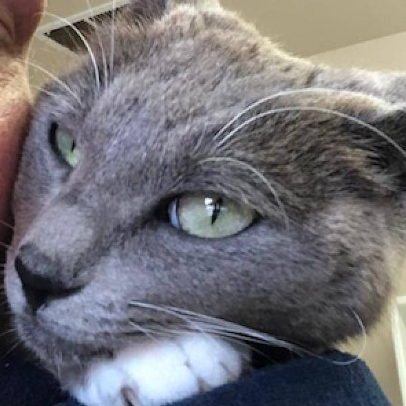 Ettie — thumbnail 6