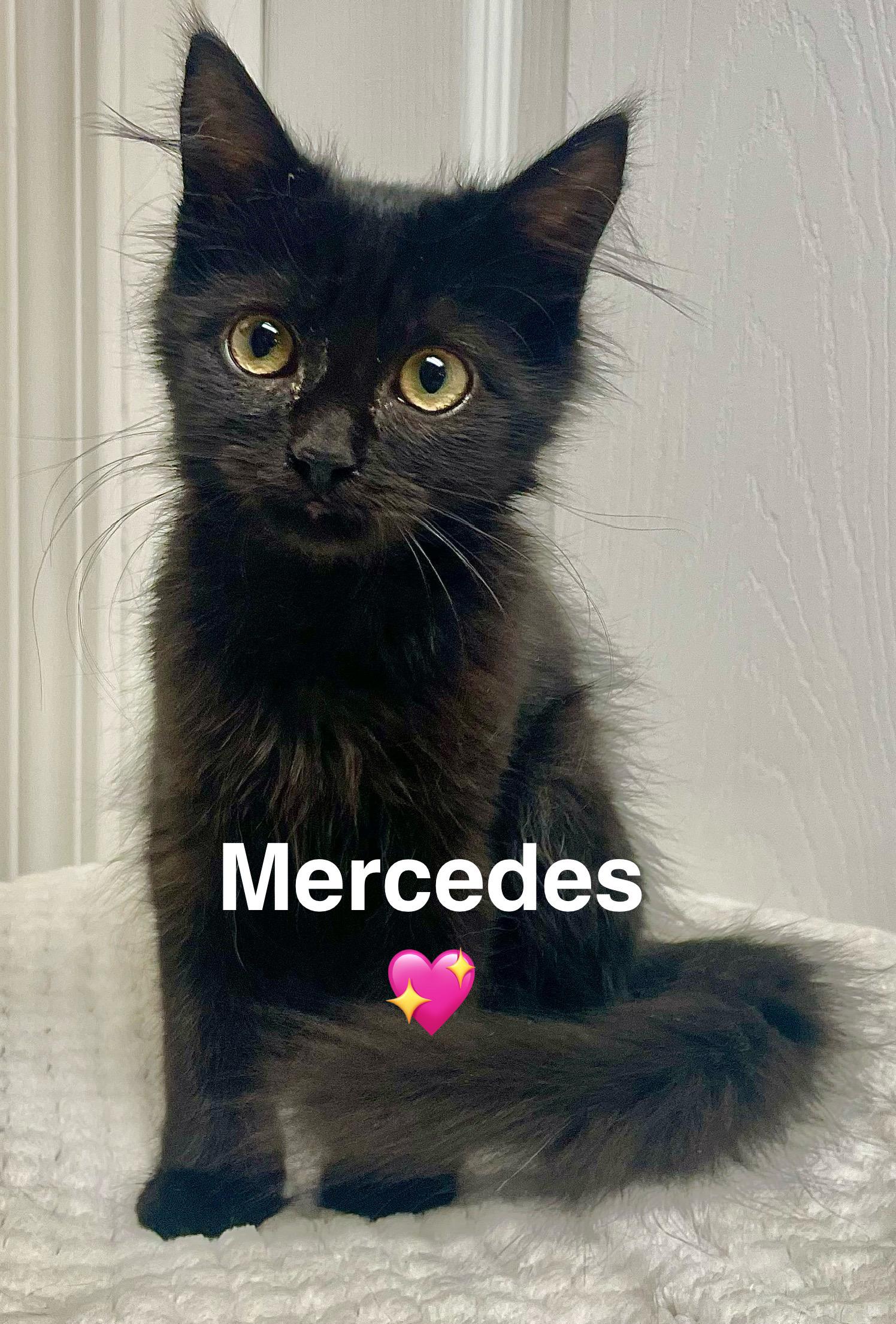 Mercedes
