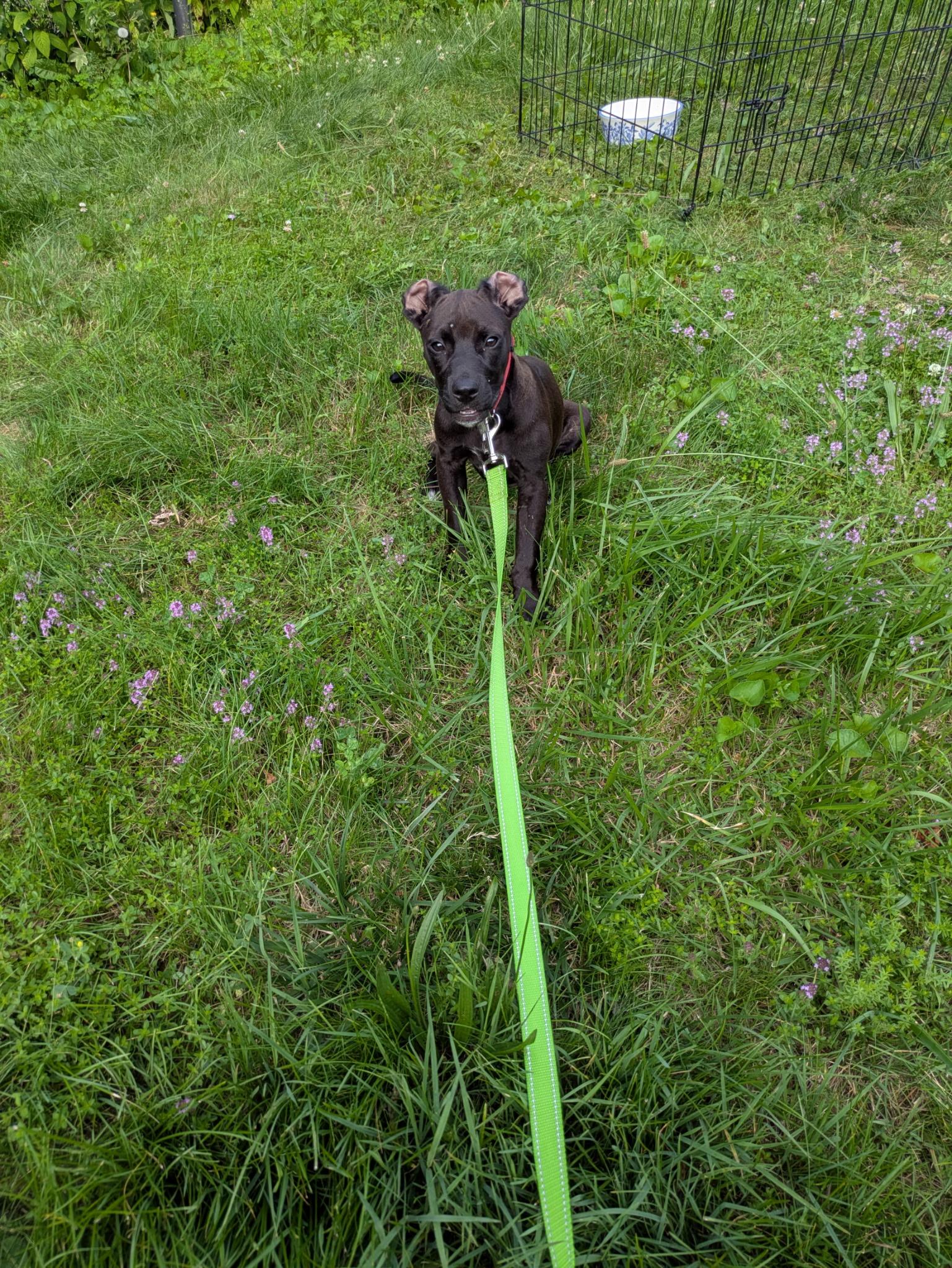 Coco 2