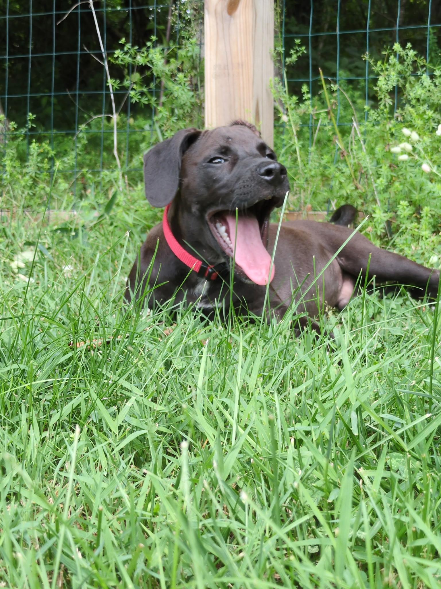 Coco