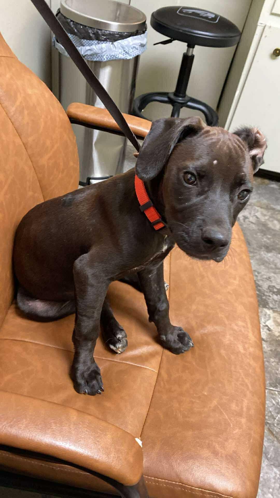 Coco 4