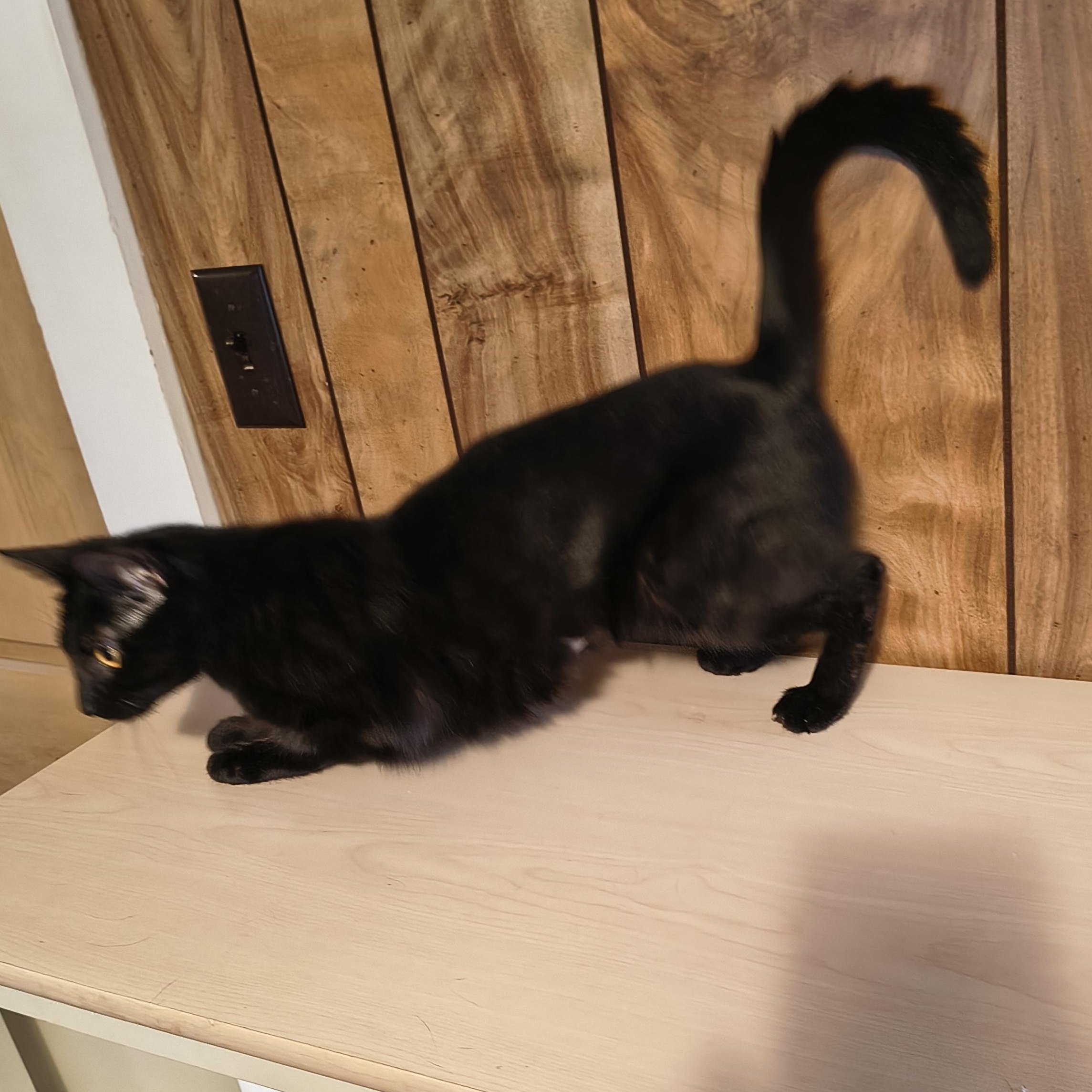 Phoebe And Phil thumbnail 4