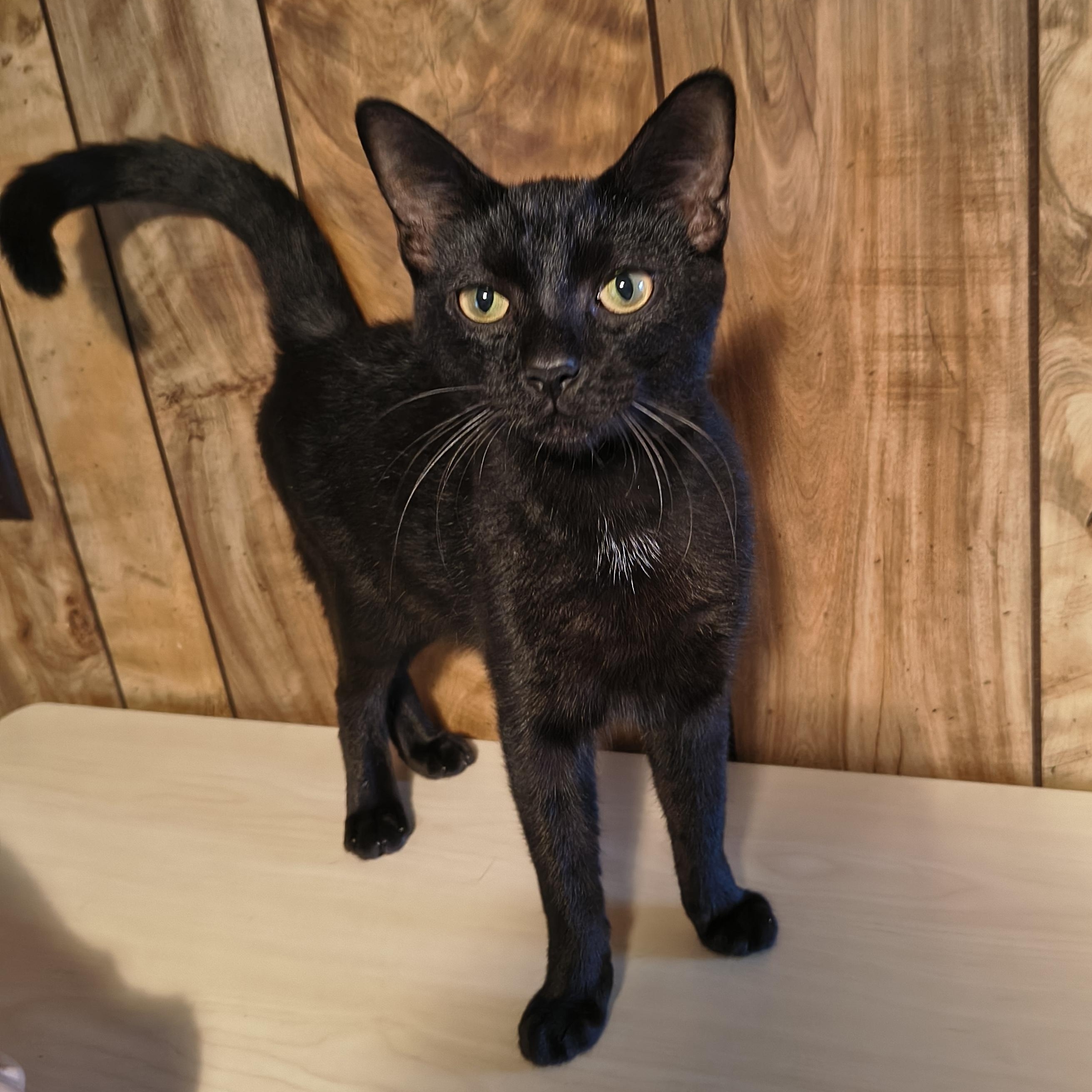 Phoebe And Phil thumbnail 5