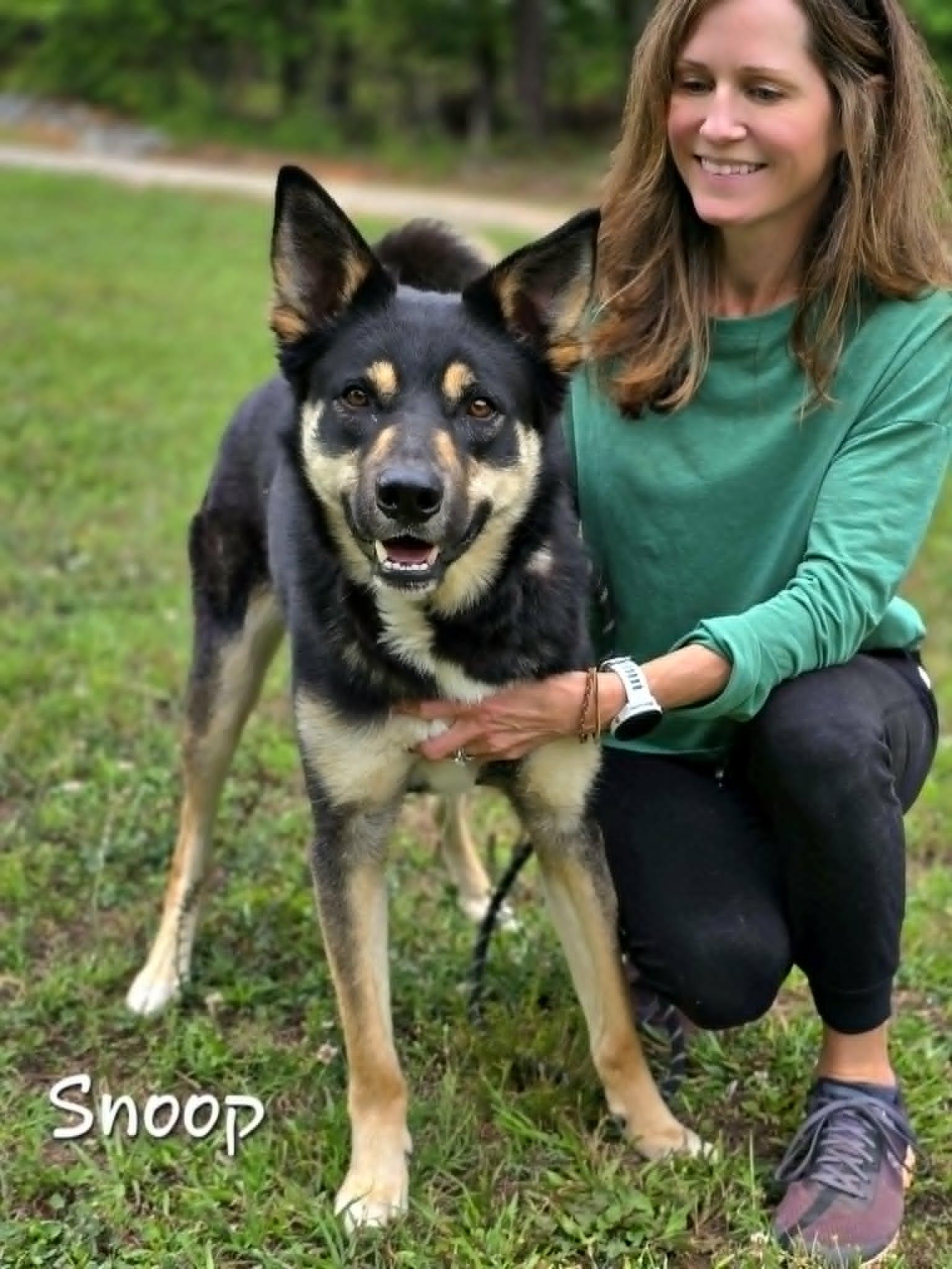 Snoop, a ADOPTABLE mixed breed in Bishop, GA image 6/6