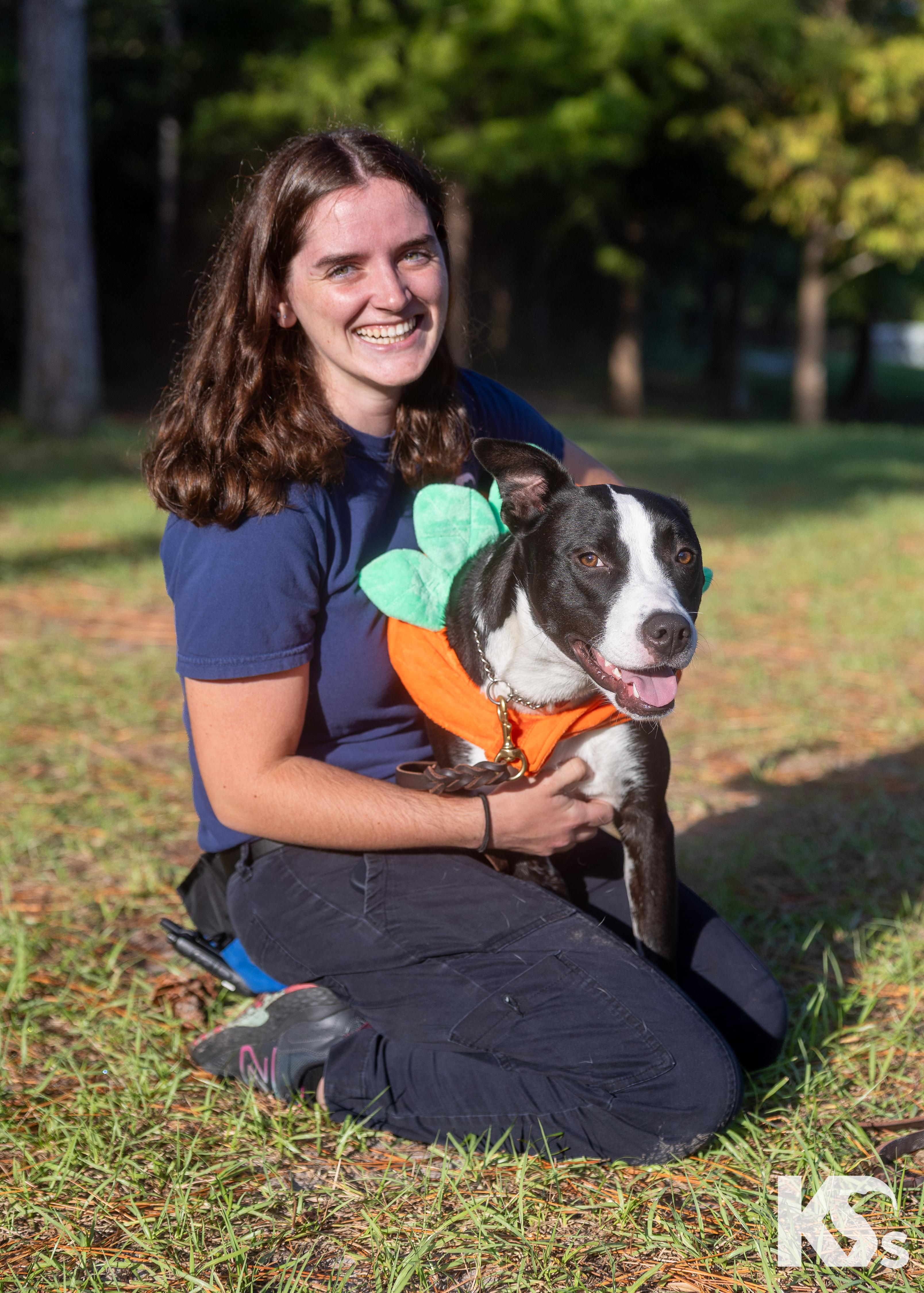 Enlarge Train, a Adoptable mixed breed in Ponte Vedra, FL image 6/6